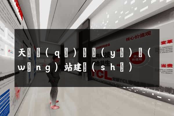 天寧區(qū)專業(yè)網(wǎng)站建設(shè)
