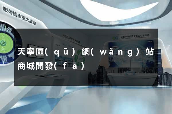天寧區(qū)網(wǎng)站商城開發(fā)