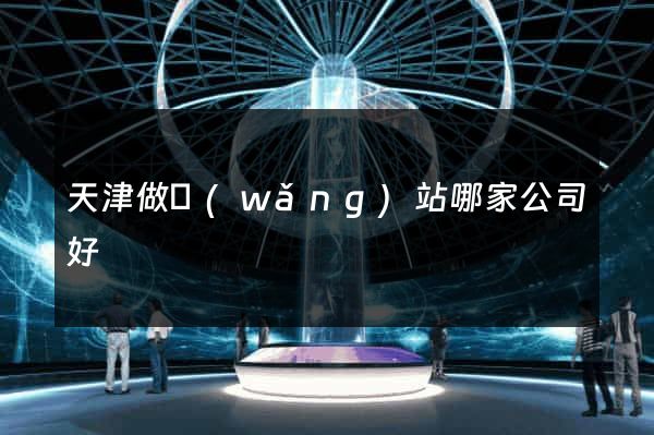 天津做網(wǎng)站哪家公司好
