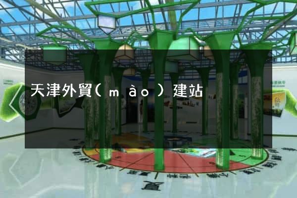 天津外貿(mào)建站