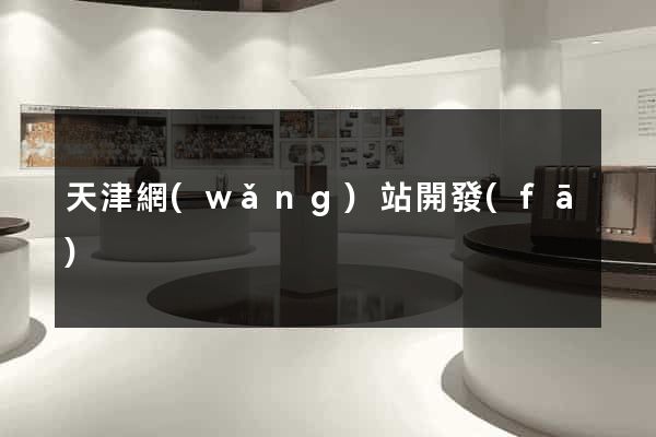 天津網(wǎng)站開發(fā)