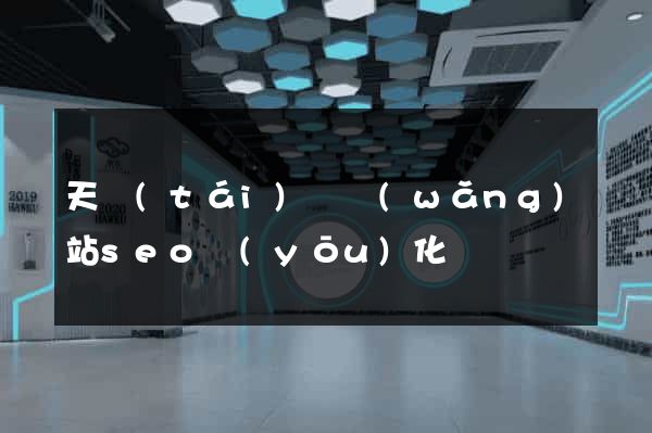 天臺(tái)縣網(wǎng)站seo優(yōu)化