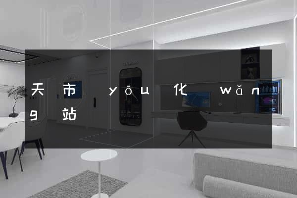 天長市優(yōu)化網(wǎng)站