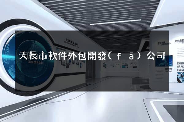天長市軟件外包開發(fā)公司