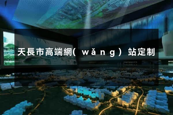 天長市高端網(wǎng)站定制