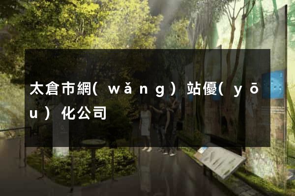 太倉市網(wǎng)站優(yōu)化公司