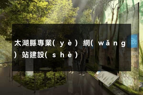 太湖縣專業(yè)網(wǎng)站建設(shè)