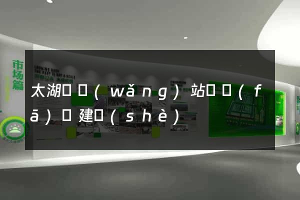 太湖縣網(wǎng)站開發(fā)與建設(shè)