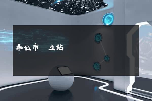 奉化市獨立站運營