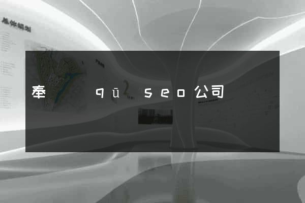 奉賢區(qū)seo公司