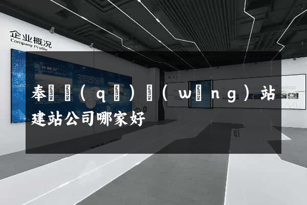 奉賢區(qū)網(wǎng)站建站公司哪家好