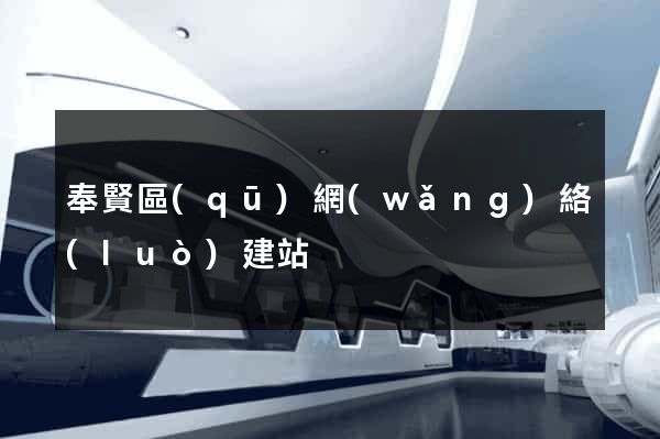 奉賢區(qū)網(wǎng)絡(luò)建站