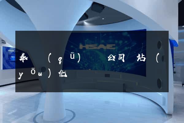 奉賢區(qū)設計公司網站優(yōu)化