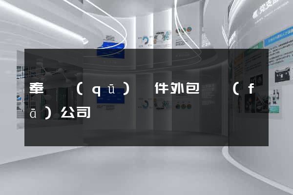 奉賢區(qū)軟件外包開發(fā)公司