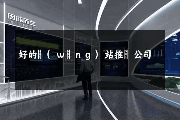 好的網(wǎng)站推廣公司