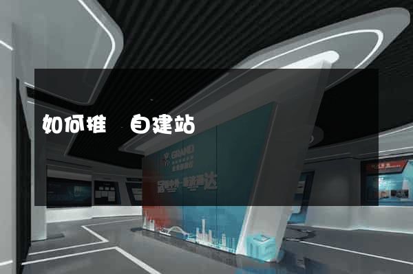 如何推廣自建站