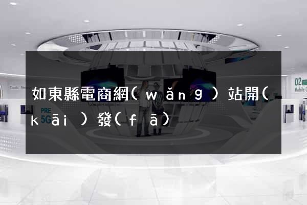 如東縣電商網(wǎng)站開(kāi)發(fā)