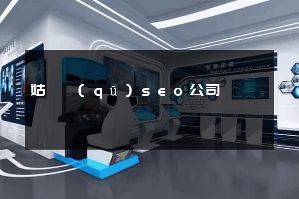 姑蘇區(qū)seo公司