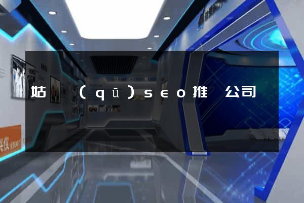 姑蘇區(qū)seo推廣公司