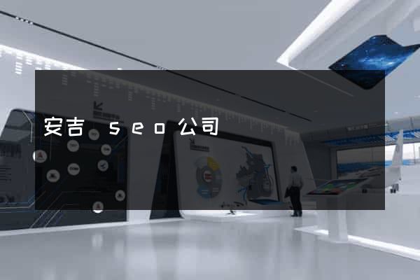 安吉縣seo公司