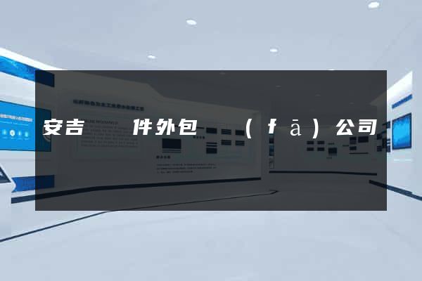 安吉縣軟件外包開發(fā)公司