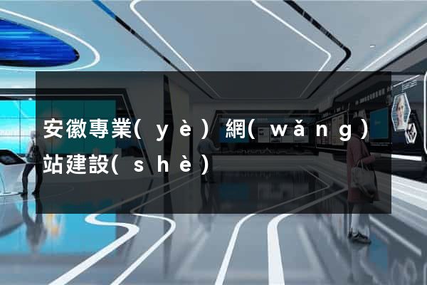 安徽專業(yè)網(wǎng)站建設(shè)