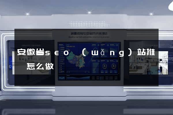 安徽省seo網(wǎng)站推廣怎么做
