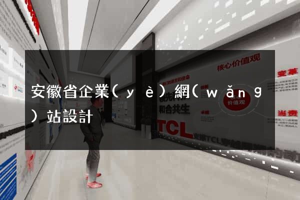 安徽省企業(yè)網(wǎng)站設計
