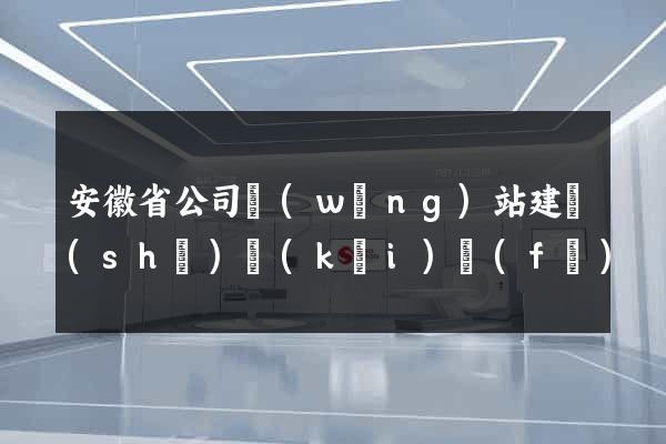 安徽省公司網(wǎng)站建設(shè)開(kāi)發(fā)