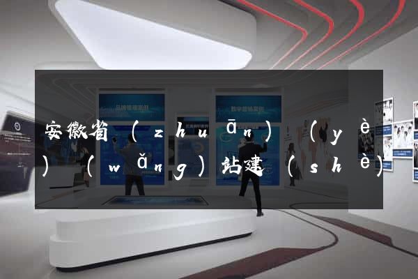 安徽省專(zhuān)業(yè)網(wǎng)站建設(shè)