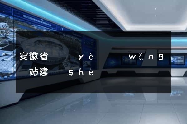 安徽省專業(yè)網(wǎng)站建設(shè)