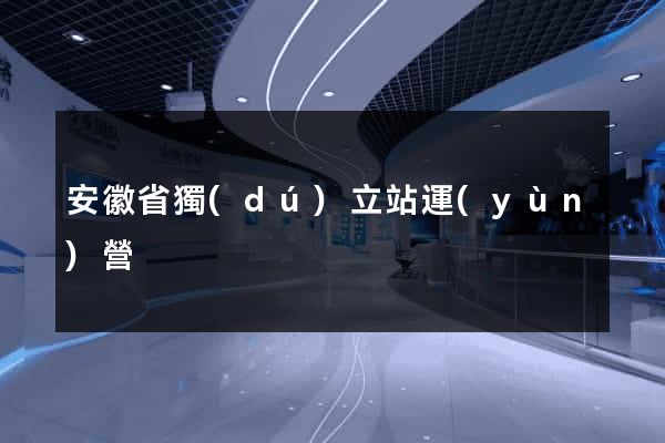 安徽省獨(dú)立站運(yùn)營