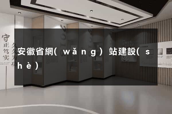 安徽省網(wǎng)站建設(shè)