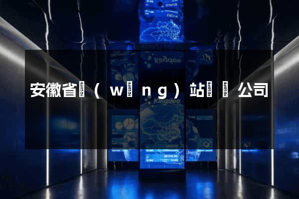 安徽省網(wǎng)站設計公司