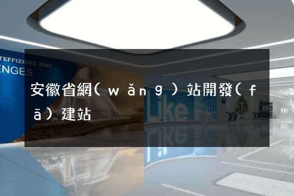 安徽省網(wǎng)站開發(fā)建站
