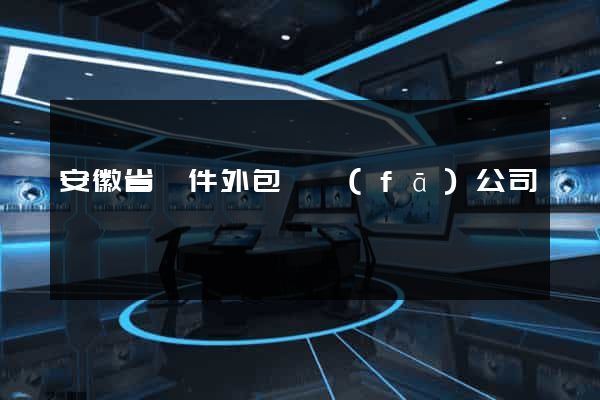 安徽省軟件外包開發(fā)公司