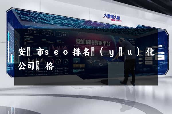 安慶市seo排名優(yōu)化公司價格
