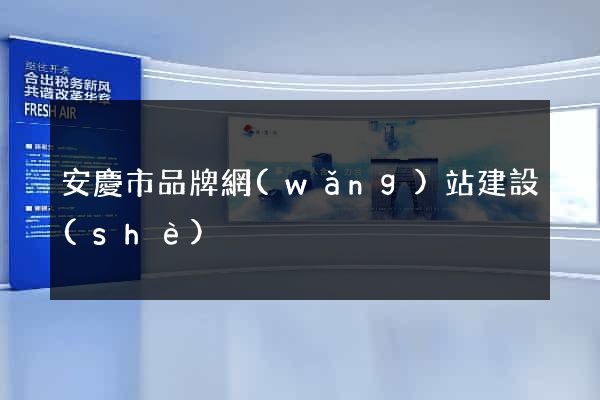 安慶市品牌網(wǎng)站建設(shè)
