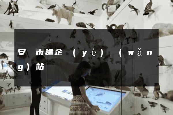 安慶市建企業(yè)網(wǎng)站