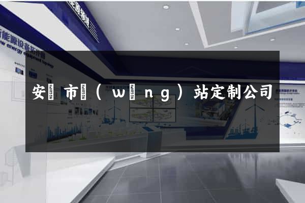 安慶市網(wǎng)站定制公司