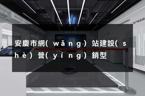 安慶市網(wǎng)站建設(shè)營(yíng)銷型
