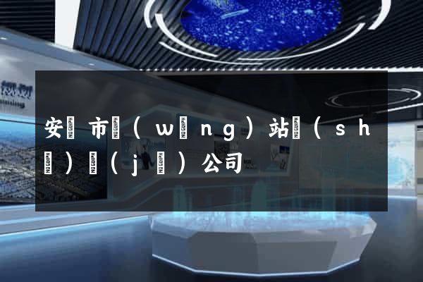 安慶市網(wǎng)站設(shè)計(jì)公司