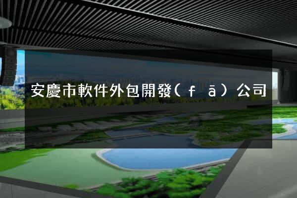 安慶市軟件外包開發(fā)公司