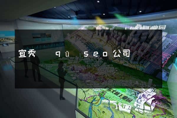 宜秀區(qū)seo公司