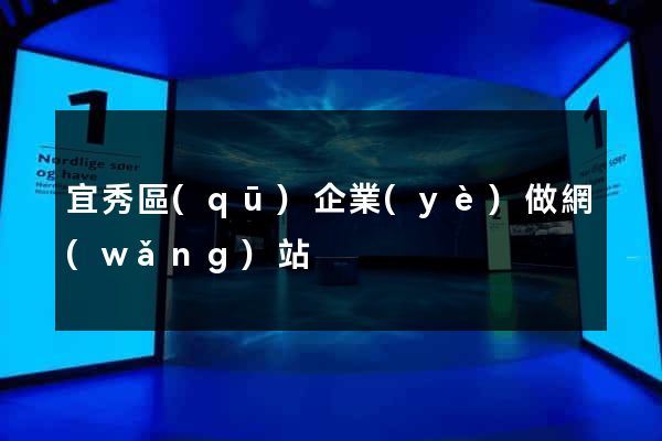 宜秀區(qū)企業(yè)做網(wǎng)站