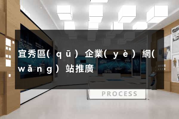 宜秀區(qū)企業(yè)網(wǎng)站推廣