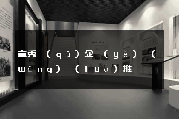 宜秀區(qū)企業(yè)網(wǎng)絡(luò)推廣