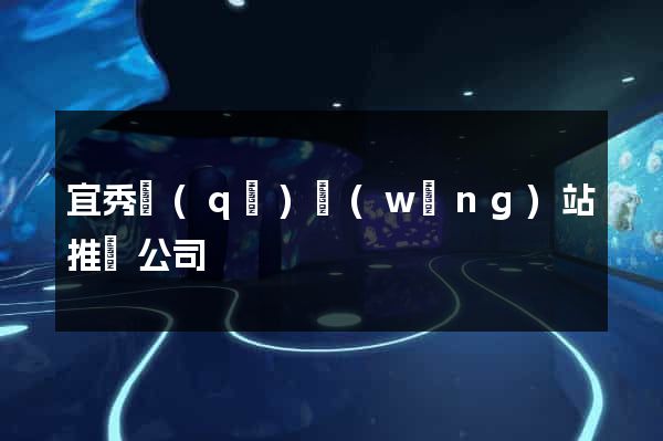 宜秀區(qū)網(wǎng)站推廣公司