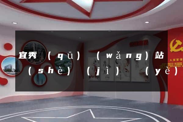 宜秀區(qū)網(wǎng)站設(shè)計(jì)專業(yè)的公司