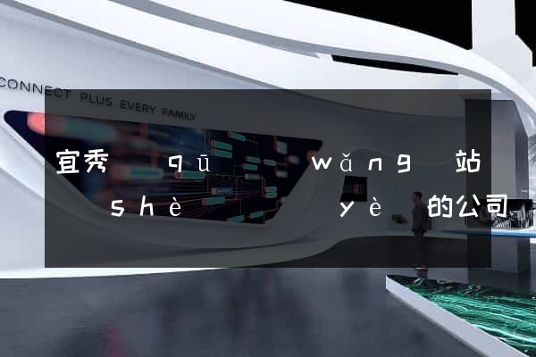 宜秀區(qū)網(wǎng)站設(shè)計專業(yè)的公司